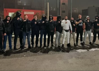 Lažne tvrdnje o gašenju Pantera: Džinović poručuje da organizacija „stoji čvrsto“