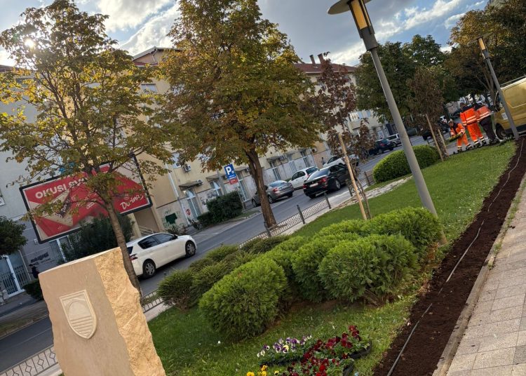 Sadnja zimskog cvijeća i održavanje zelenih površina u Mostaru