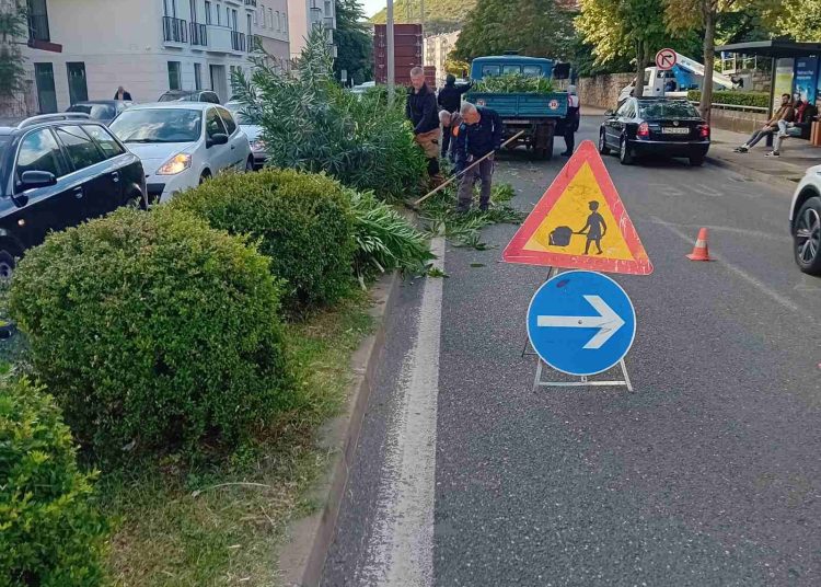 Sadnja zimskog cvijeća i održavanje zelenih površina u Mostaru