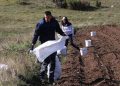 Mišo Mandić iz Širokog Brijega: “Led i suša uništili urod planinskog krumpire na Blidinju”