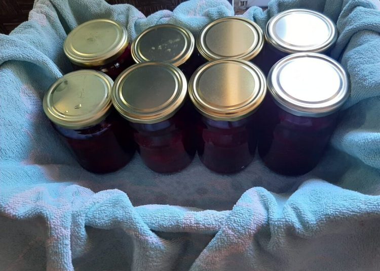 Foto: Barbara Jurišić