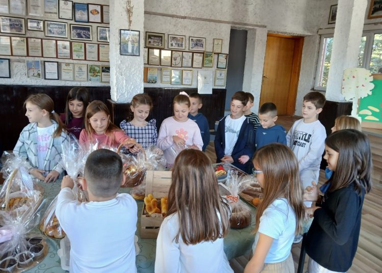 Foto: Druga osnovna škola Široki Brijeg