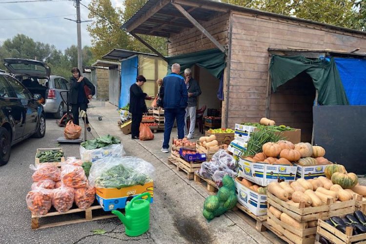 Evo najnovijih cijena voća i povrća na čapljinskoj Veletržnici