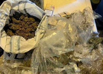 FUP uhitio osobu zbog sumnje na neovlaštenu proizvodnju i promet droge