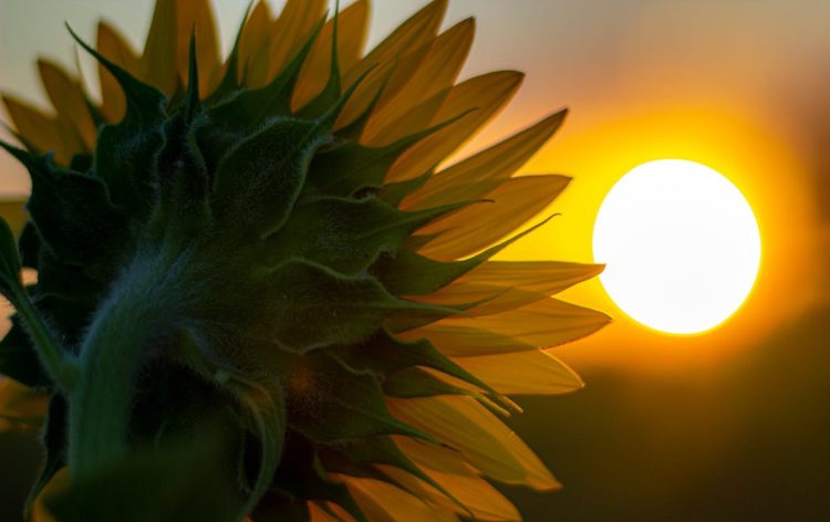 Hercegovina obasjana suncem, ali uz oprez zbog jakog vjetra