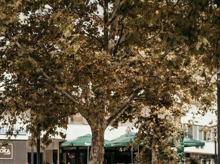 Foto: Grad Široki Brijeg