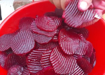 Najbolji recept kako ukiseliti ciklu da zadrži sve vitamine u sebi