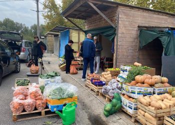 Na tržnici u Čapljini obilje povrća za zimnicu, evo kolike su cijene