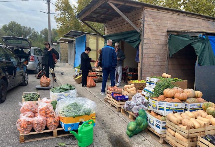 Na tržnici u Čapljini obilje povrća za zimnicu, evo kolike su cijene