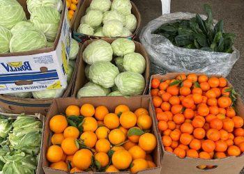 Najnovije cijene voća i povrća na veletržnici u Čapljini, stigle prve klementine