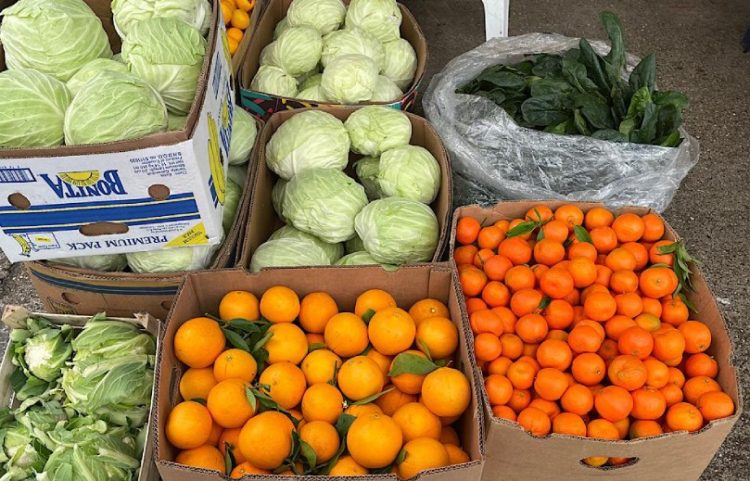 Najnovije cijene voća i povrća na veletržnici u Čapljini, stigle prve klementine