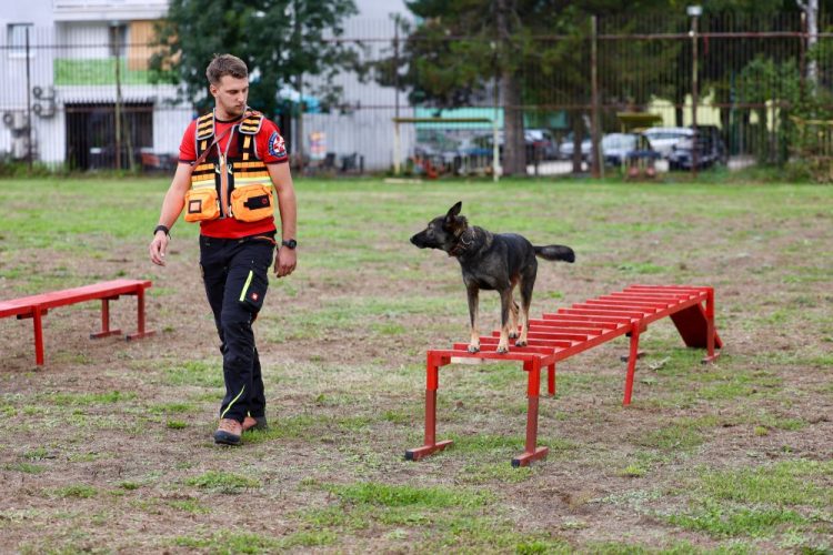 Uspjeh K9 tima GSS-a Široki Brijeg u Beogradu: Dobili i novog psa