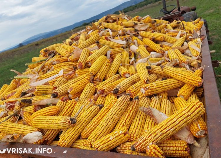 Prirodne ljepote Drinovaca – hercegovačka zemlja u svom punom sjaju