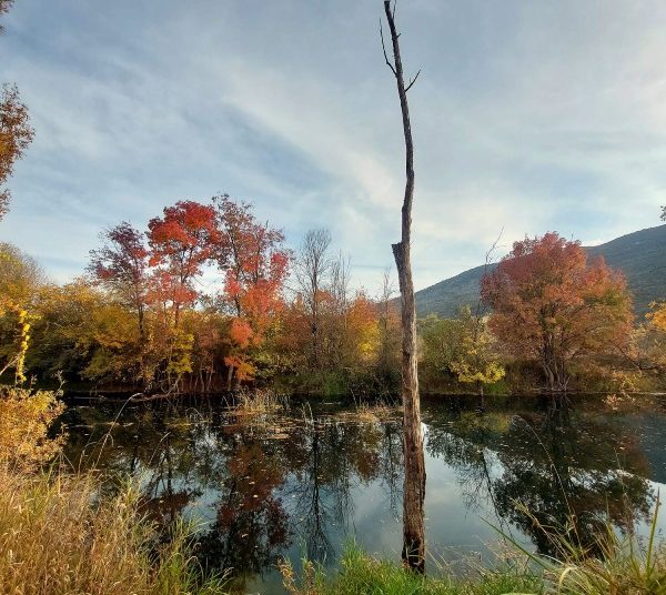 Prirodne ljepote Drinovaca – hercegovačka zemlja u svom punom sjaju
