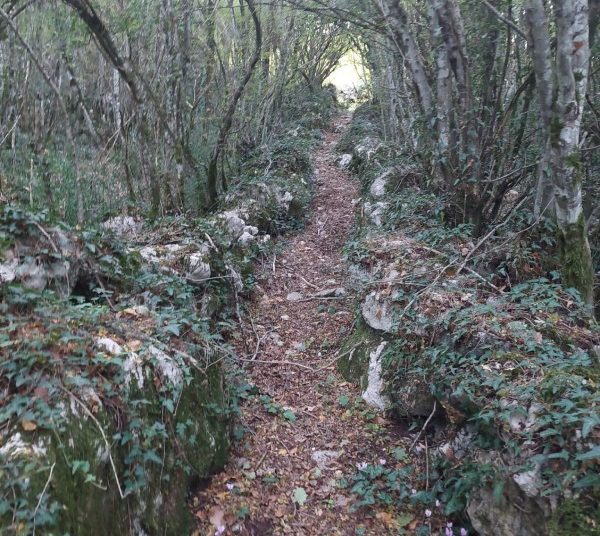 Prirodne ljepote Drinovaca – hercegovačka zemlja u svom punom sjaju