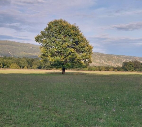 Prirodne ljepote Drinovaca – hercegovačka zemlja u svom punom sjaju