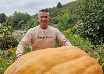 Rekordna tikva iz Busovače: Subašić uzgojio čudo od 310 kilograma