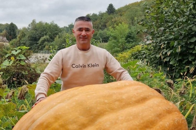Rekordna tikva iz Busovače: Subašić uzgojio čudo od 310 kilograma