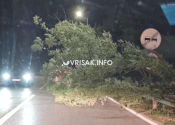 Jak vjetar u Širokom Brijegu: Stablo palo na cestu, promet otežan