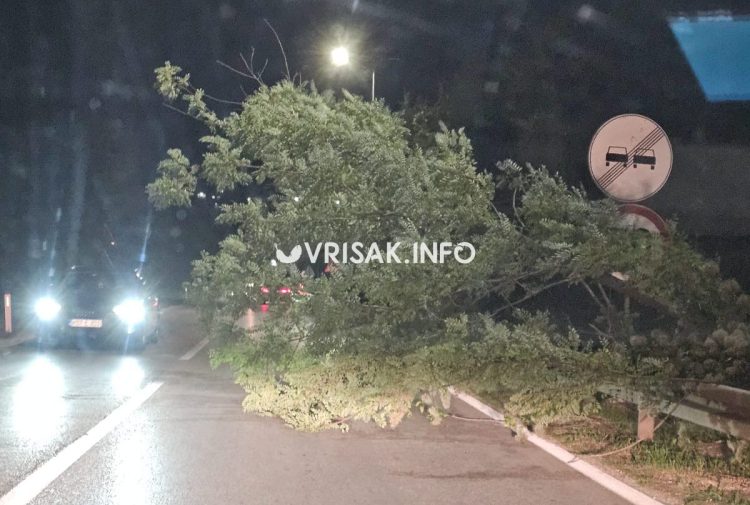 Jak vjetar u Širokom Brijegu: Stablo palo na cestu, promet otežan