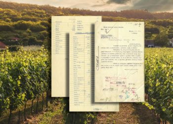 Iz prošlosti Širokog Brijega: Broj posađenih vinograda po selima iz 1921. godine