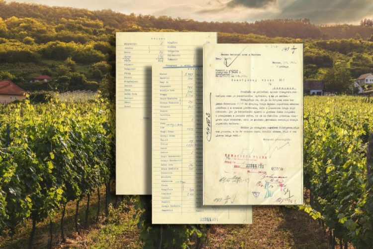 Iz prošlosti Širokog Brijega: Broj posađenih vinograda po selima iz 1921. godine