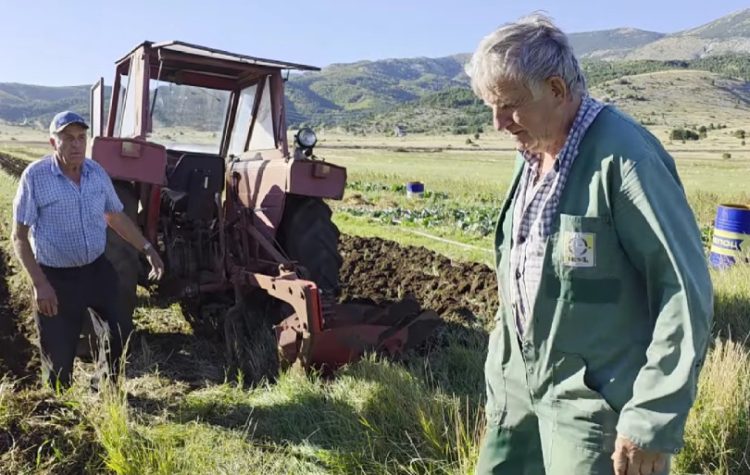 Stipina priča o poljoprivredi na Blidinju: U 87. godini radi kao da mu je 25