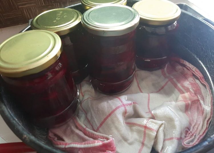 Najbolji recept kako ukiseliti ciklu da zadrži sve vitamine u sebi