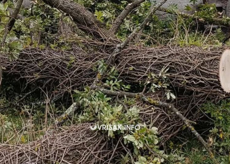 Snažan vjetar u Širokom Brijegu: Stablo palo na ugostiteljski objekat