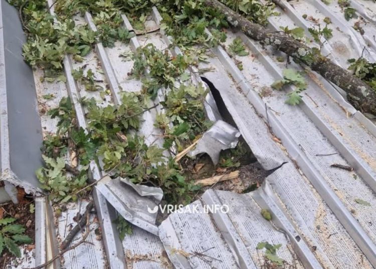 Snažan vjetar u Širokom Brijegu: Stablo palo na ugostiteljski objekat