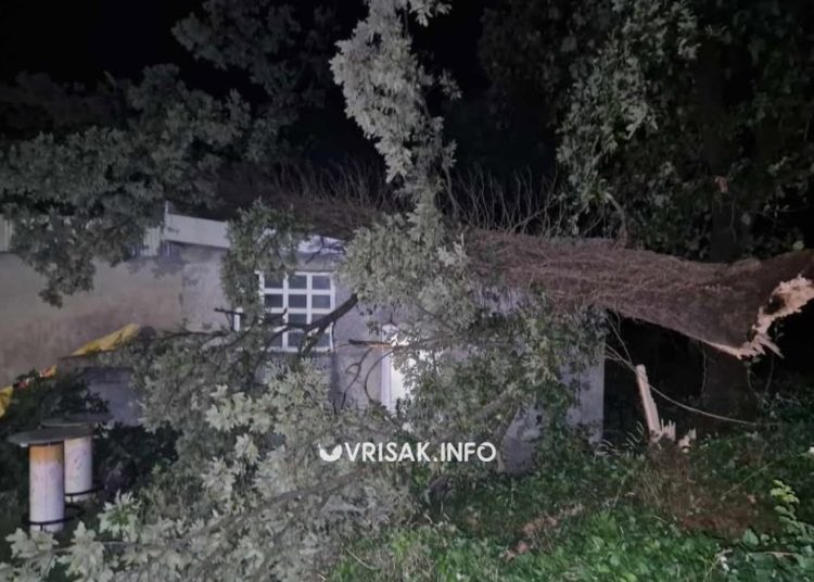 Snažan vjetar u Širokom Brijegu: Stablo palo na ugostiteljski objekat