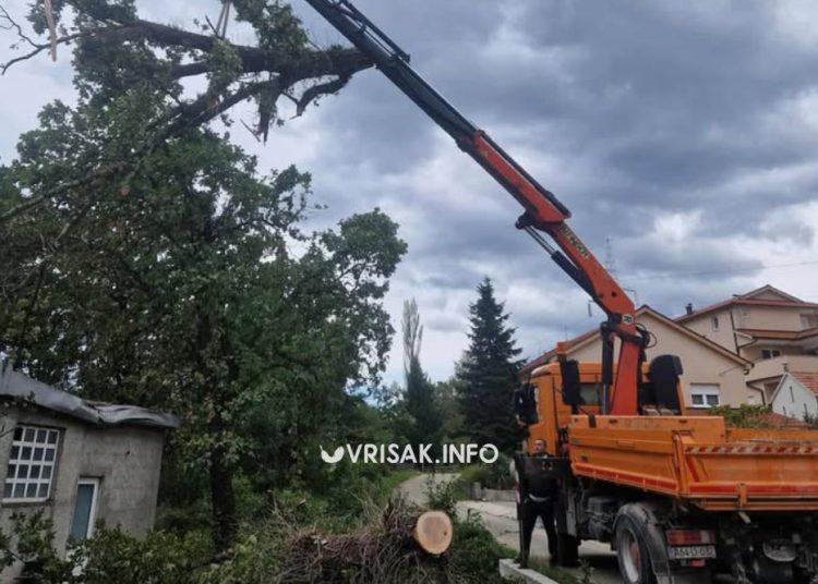Snažan vjetar u Širokom Brijegu: Stablo palo na ugostiteljski objekat