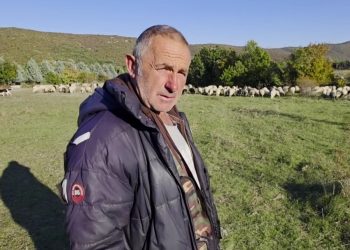 Zoran već 23 godine čuva ovce na Gorancima: Posao koji polako nestaje