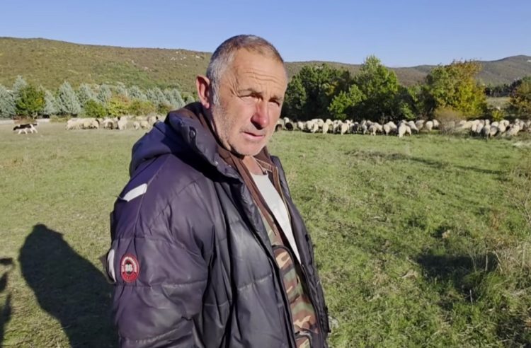 Zoran već 23 godine čuva ovce na Gorancima: Posao koji polako nestaje