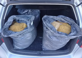 Službenici UNO u Mostaru i Tuzli oduzeli pola tone rezanog duhana i 50 KG u listu
