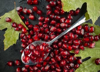 Ovo su rizične skupine ljudi koje ne smiju jesti šipak