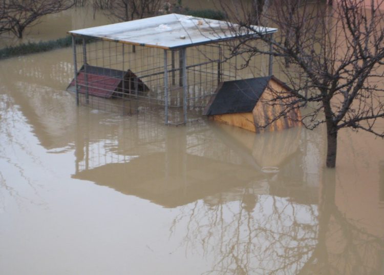 Foto: Duboko Mokro