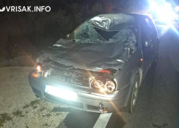 Vozilom udario kravu na cesti Široki Brijeg – Mostar, vozač ozlijeđen