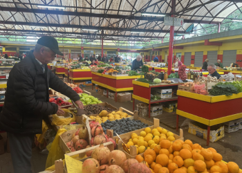 Mostarske tržnice između tradicije i novih navika