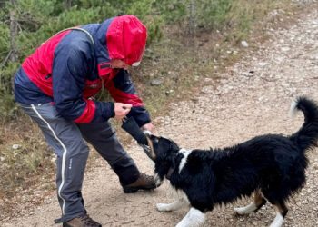 K9 timovi GSSuBiH potvrdili spremnost pri relicenciranju na Blidinju