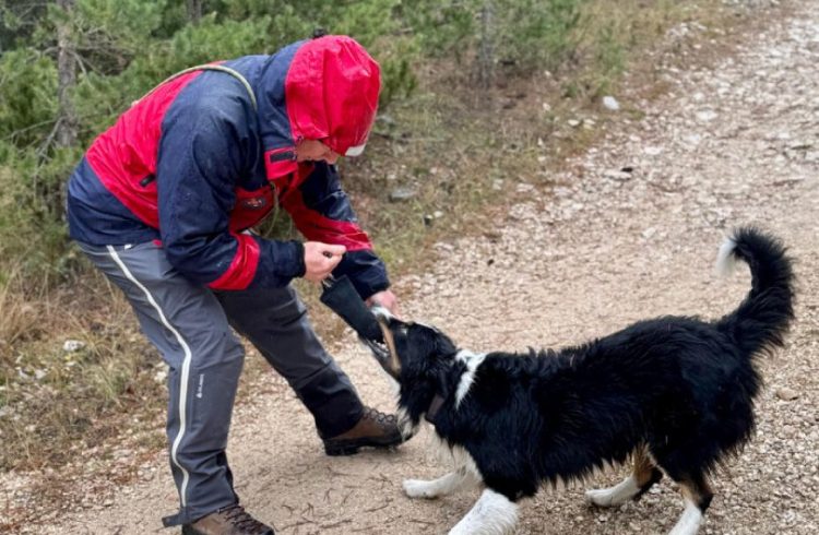 K9 timovi GSSuBiH potvrdili spremnost pri relicenciranju na Blidinju