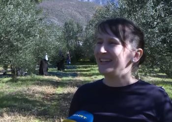 Maslinarstvo u Hercegovini predstavlja ozbiljnu poljoprivrednu proizvodnju