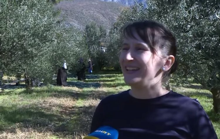 Maslinarstvo u Hercegovini predstavlja ozbiljnu poljoprivrednu proizvodnju