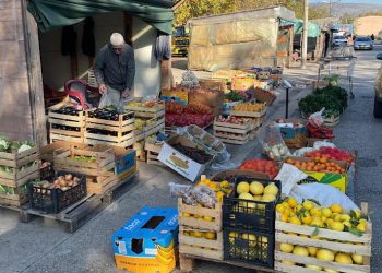 Najnovije cijene voća i povrća na čapljinskoj Veletržnici, bogata jesenska ponuda