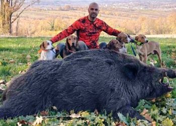 Oboren rekord u lovu u BiH: Pogledajte vepra teškog čak 224 kilograma