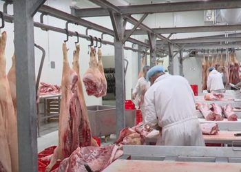 Potražnja za svinjskim mesom u Hercegovini raste, evo koliko košta kilogram