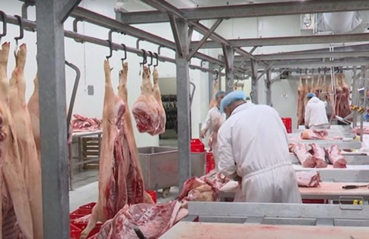 Potražnja za svinjskim mesom u Hercegovini raste, evo koliko košta kilogram