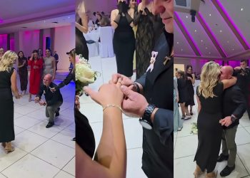 (VIDEO) Prava filmska scena na svadbi u Posušju: Prosidba koja je oduševila