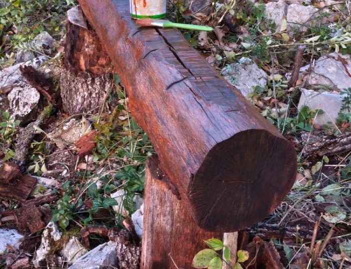 Kreativnost mladih u Širokom Brijegu mijenja zapušteni bunker