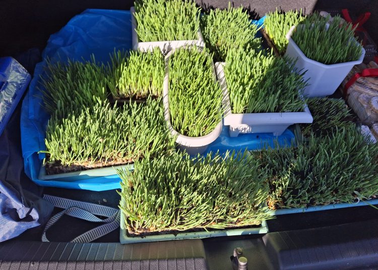 Foto: Crveni križ Široki Brijeg